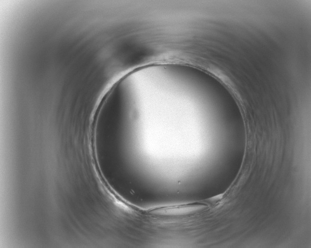 X0000066011486200603101543