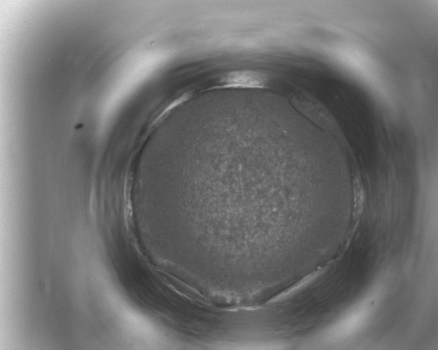 X0000066011487200603101543