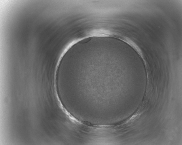 X0000066011488200603101543