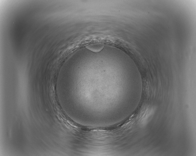 X0000066011489200603101543