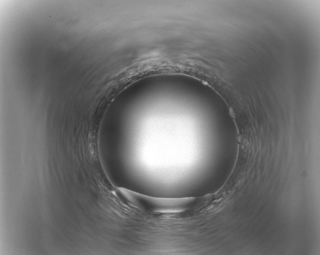 X0000066011490200603101543