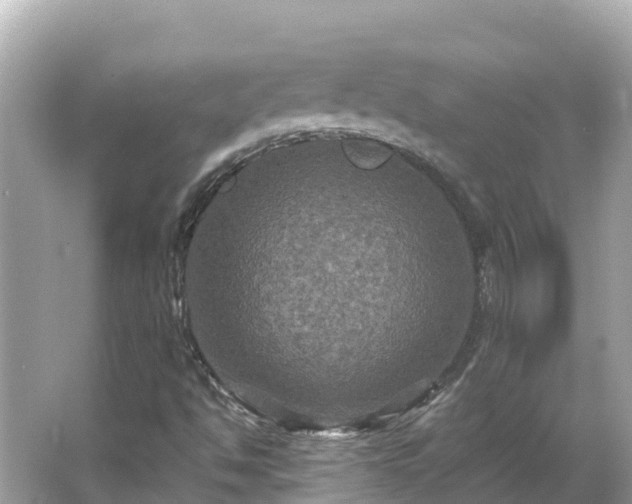 X0000066011494200603101543