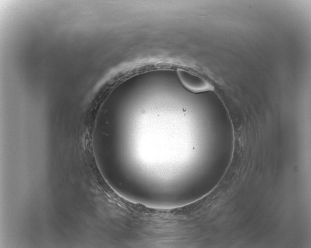 X0000066011495200603101543