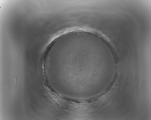 X0000066011496200603101543