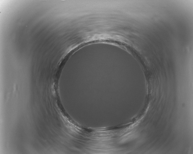 X0000066011497200603101543