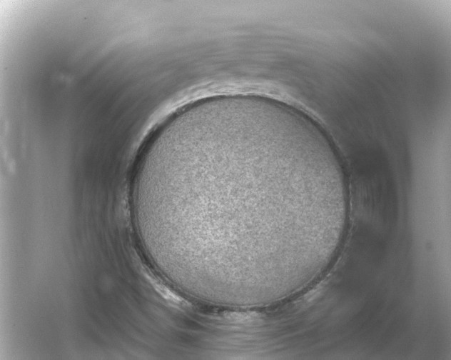 X0000066011498200603101543