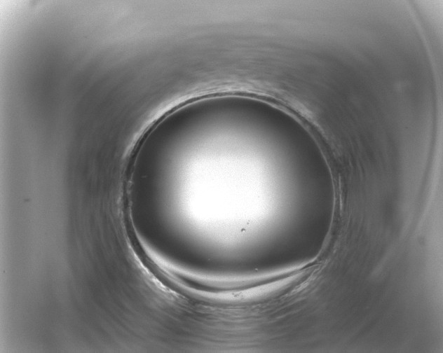 X0000066011500200603101543