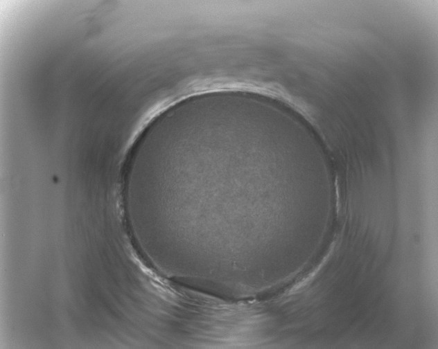 X0000066011501200603101543