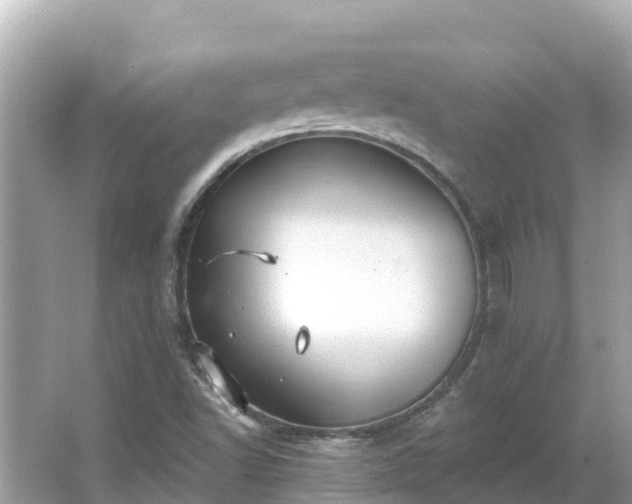 X0000066011502200603101543