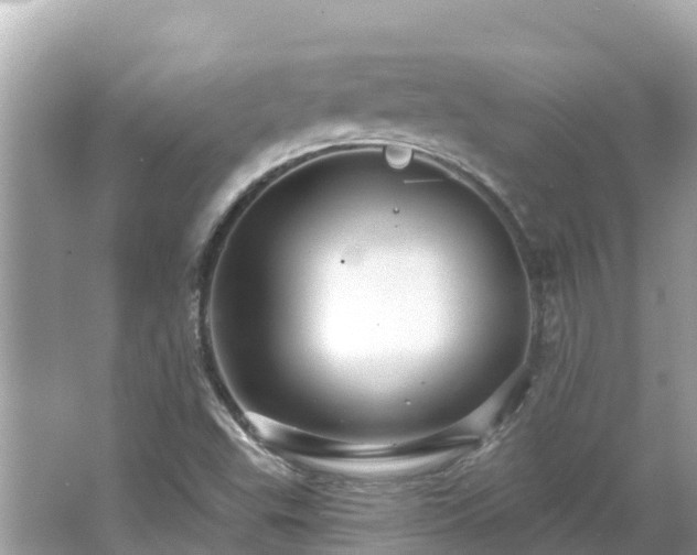 X0000066011503200603101543