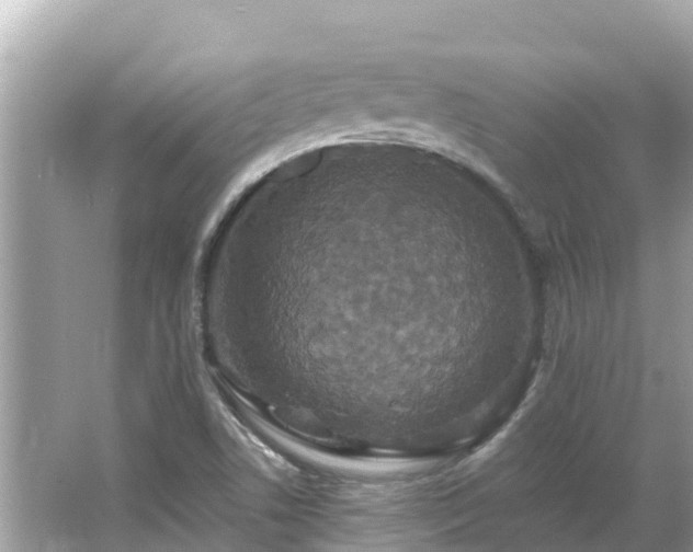 X0000066011506200603101543