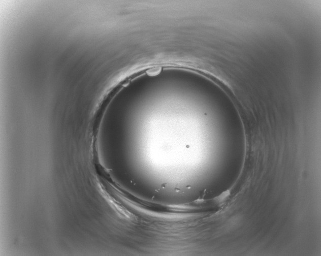 X0000066011507200603101543