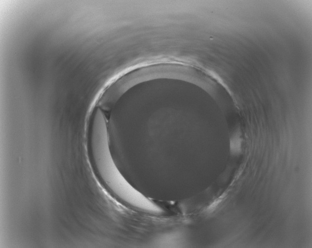 X0000066011508200603101543