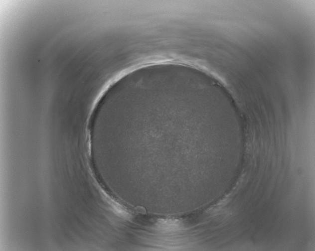 X0000066011509200603101543