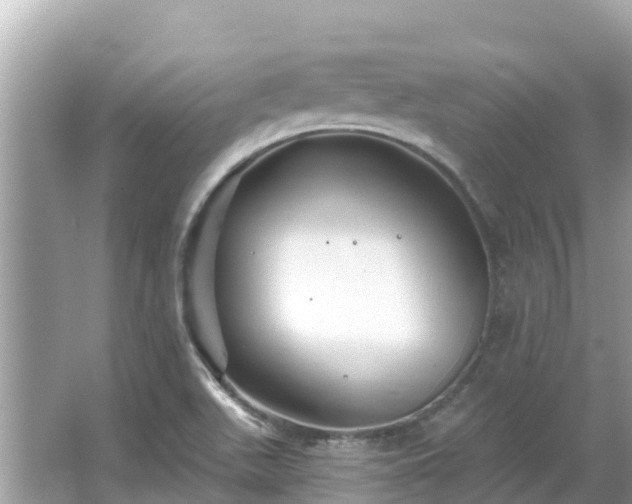 X0000066011511200603101543