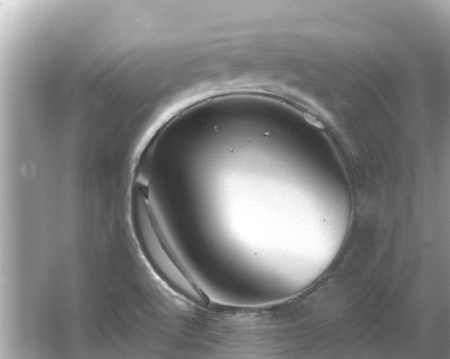 X0000066011512200603101543