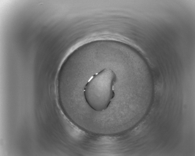 X0000066011514200603101543