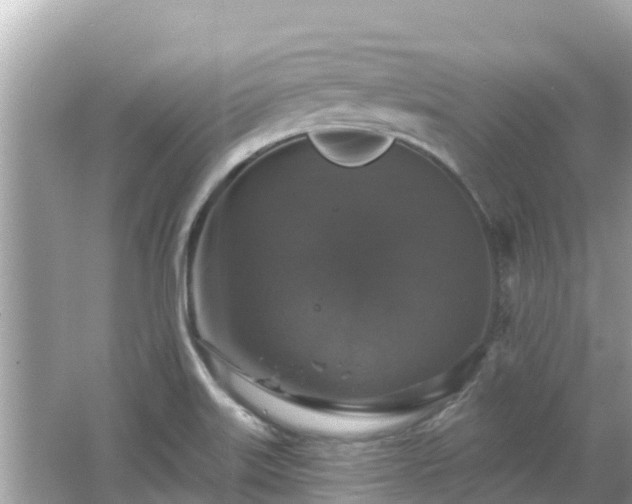 X0000066011515200603101543