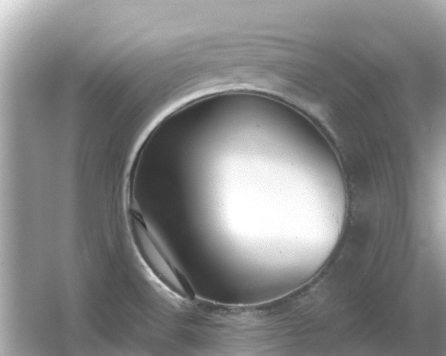 X0000066011516200603101543