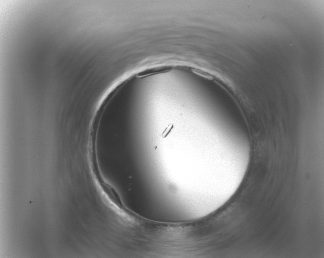 X0000066011518200603101543