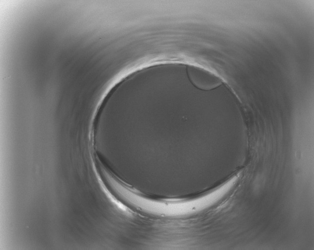 X0000066011519200603101543