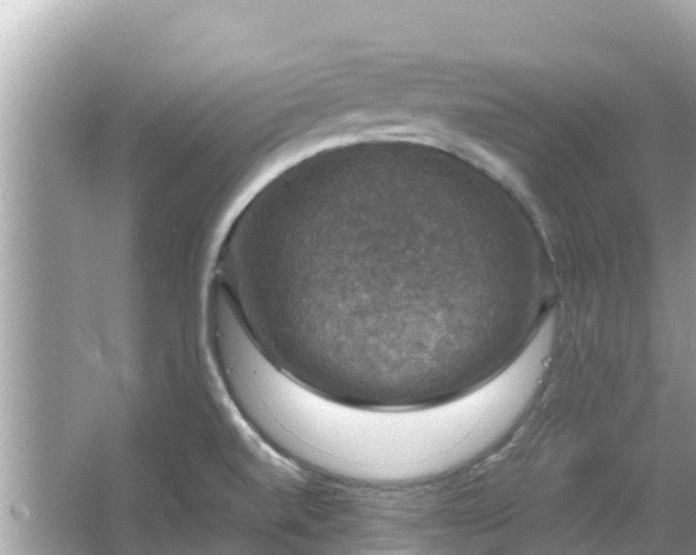 X0000066011520200603101543