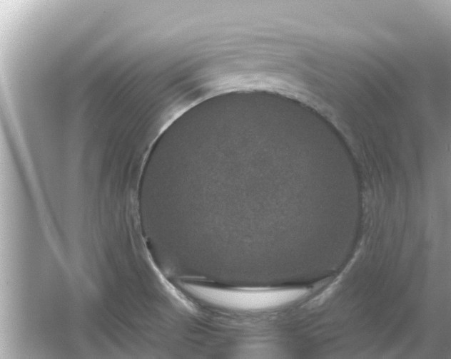 X0000066011521200603101543