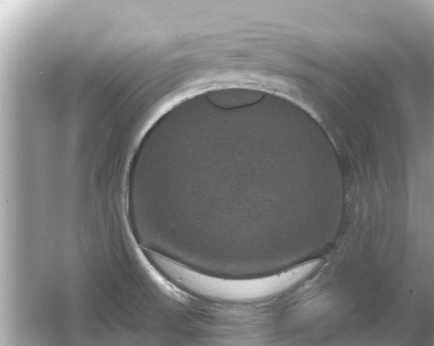 X0000066011523200603101543