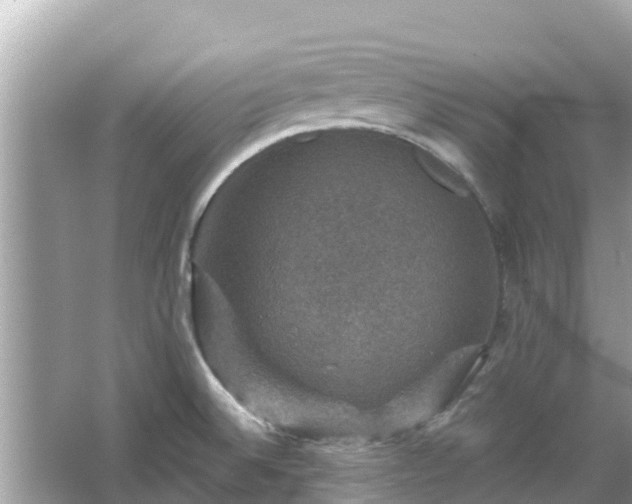 X0000066011524200603101543