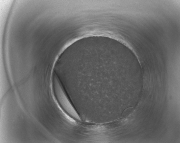 X0000066011525200603101543