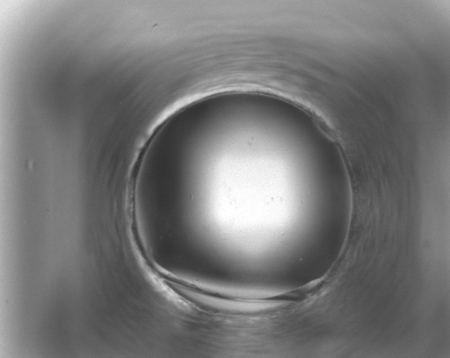 X0000066011526200603101543