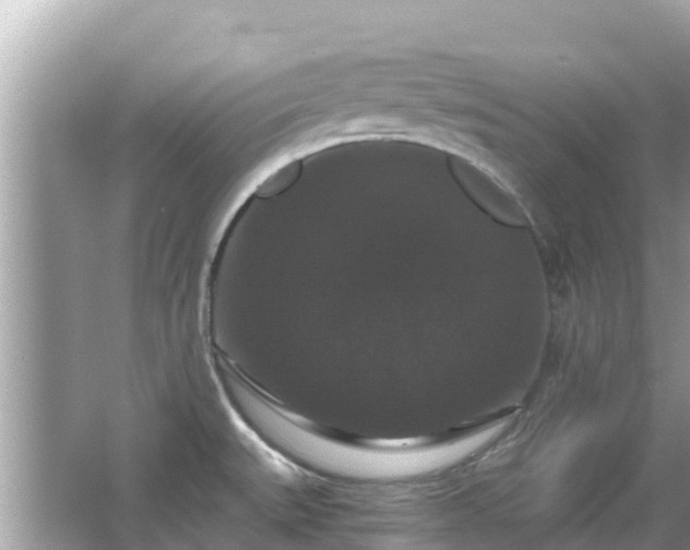 X0000066011527200603101543