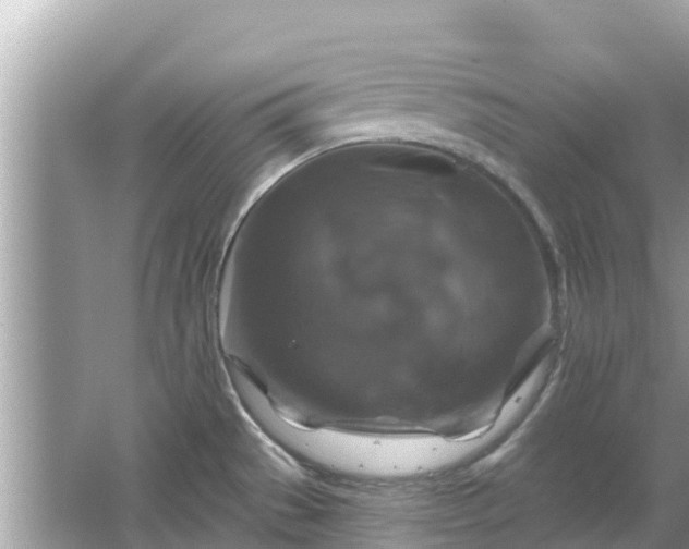 X0000066011529200603101543