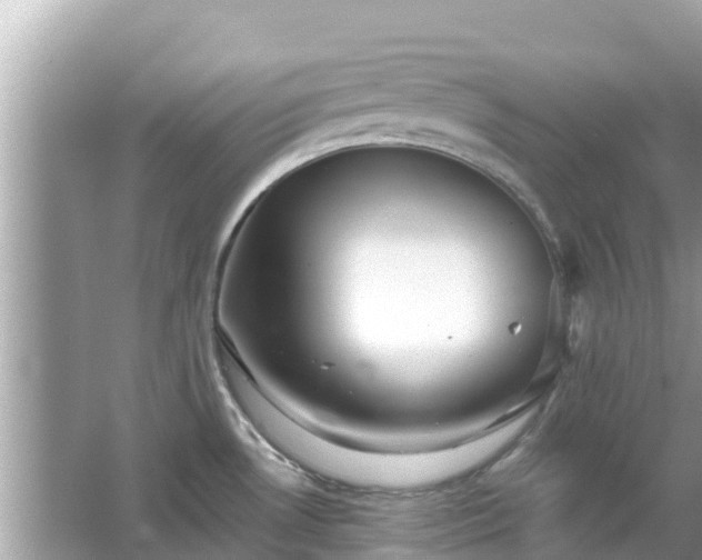 X0000066011530200603101543