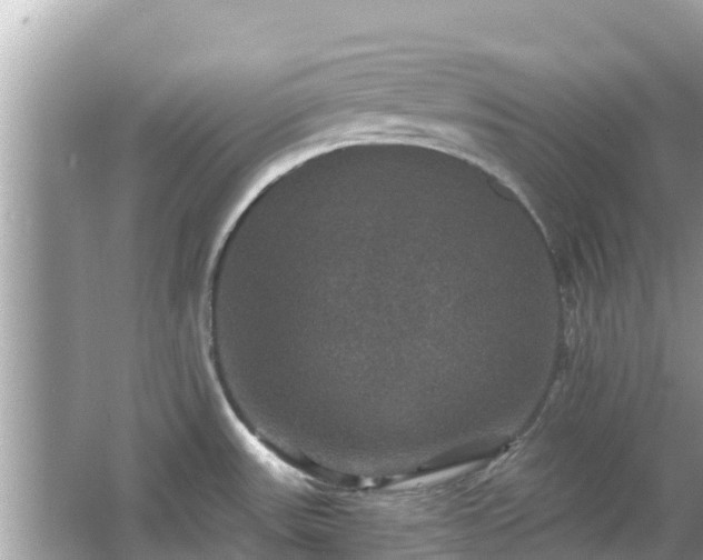 X0000066011531200603101543