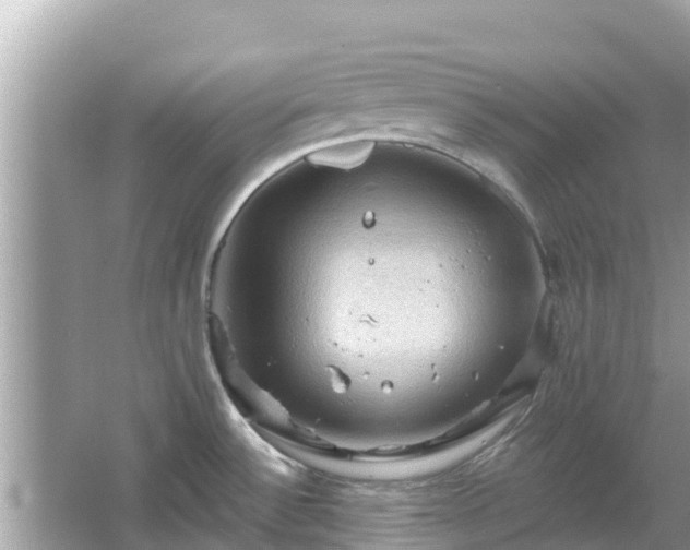 X0000066011532200603101543