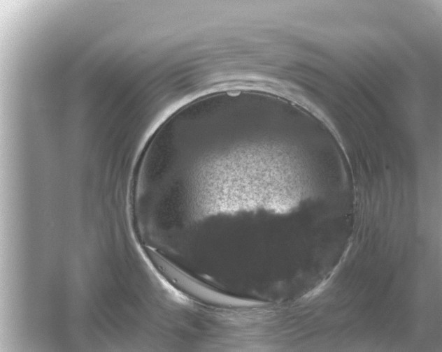 X0000066011533200603101543