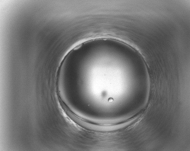 X0000066011534200603101543