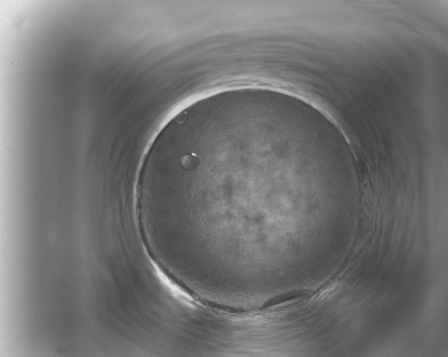 X0000066011535200603101543