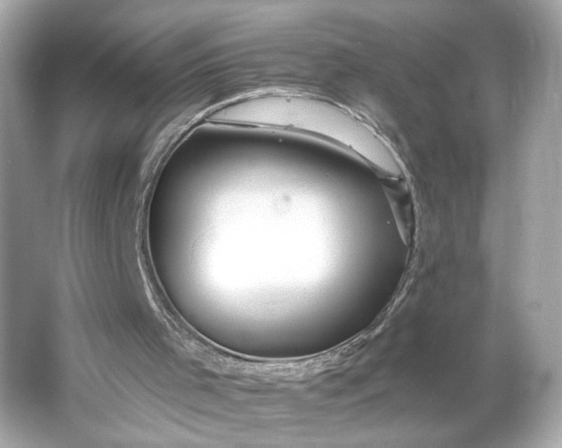 X0000066010001200603171518