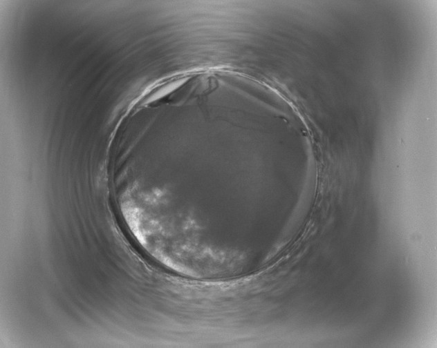 X0000066010002200603171518