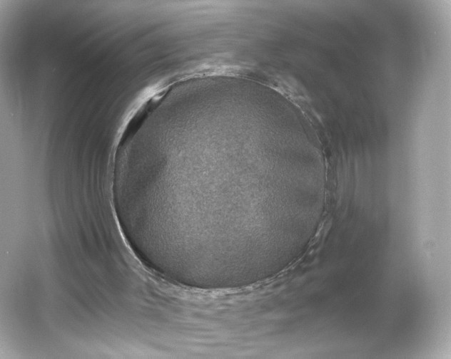 X0000066010003200603171518