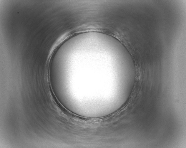 X0000066010004200603171518