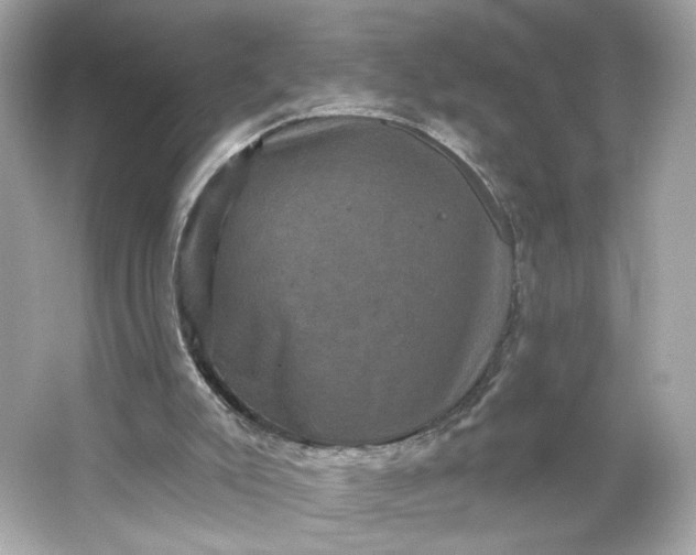 X0000066010007200603171518