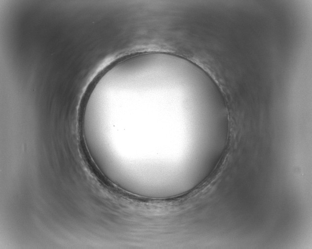 X0000066010008200603171518