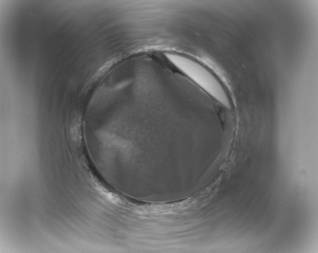 X0000066010009200603171518