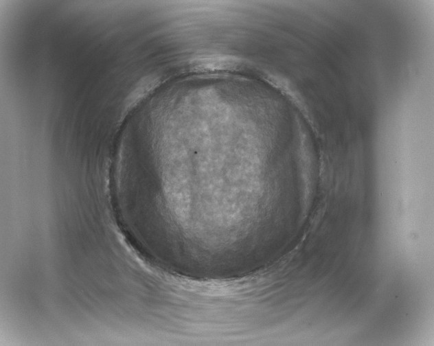 X0000066010010200603171518