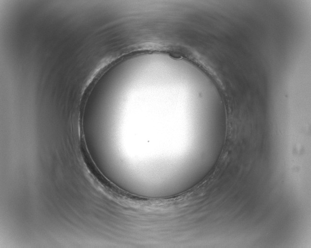 X0000066010011200603171518