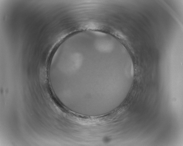 X0000066010012200603171518