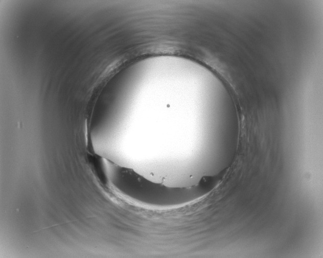 X0000066010013200603171518